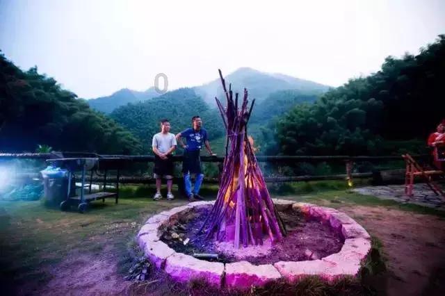 权力与纷争