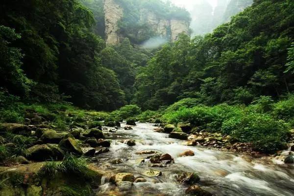 全民剧本大师内置菜单